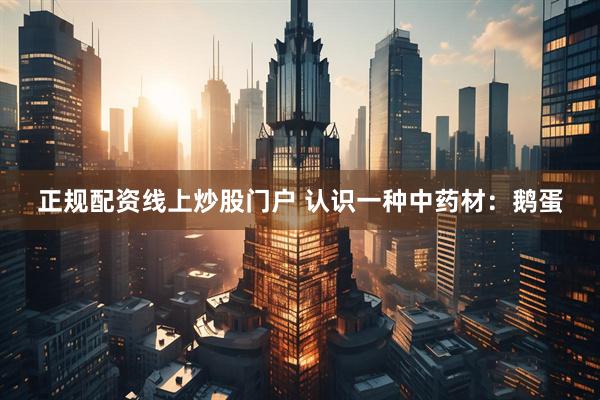 正规配资线上炒股门户 认识一种中药材：鹅蛋