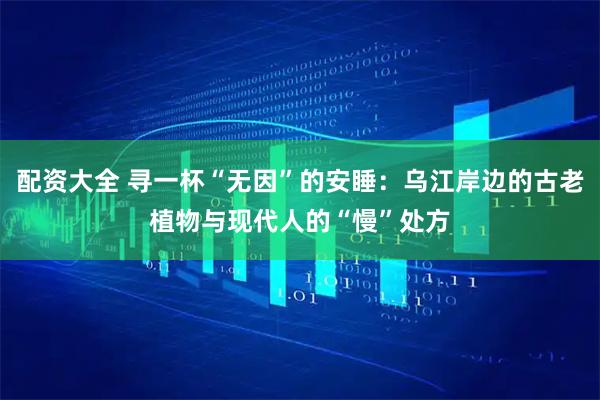 配资大全 寻一杯“无因”的安睡：乌江岸边的古老植物与现代人的“慢”处方